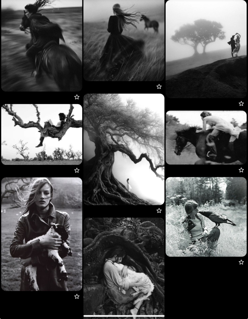My pinterest inspirations